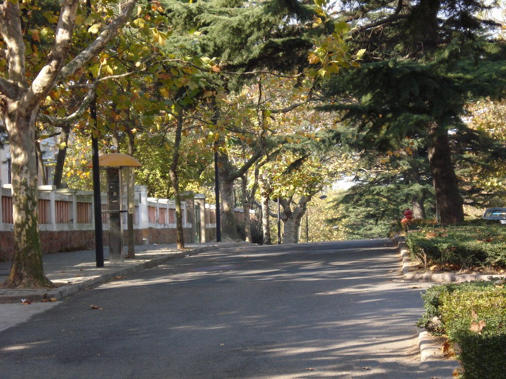 風景 (140).jpg