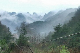 王順山國家森林公園