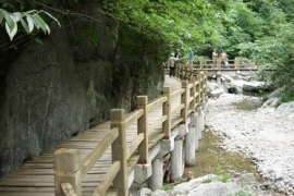 金絲峽