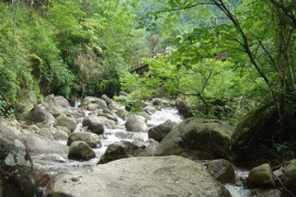 藥王山