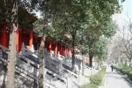 大興善寺